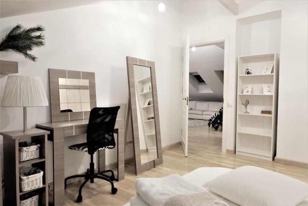 Apartment Old Town Luxury And Spacious Vilnius