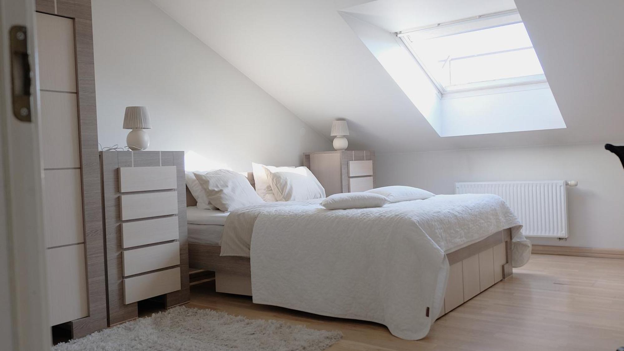 Old Town Luxury And Spacious Apartment Vilnius