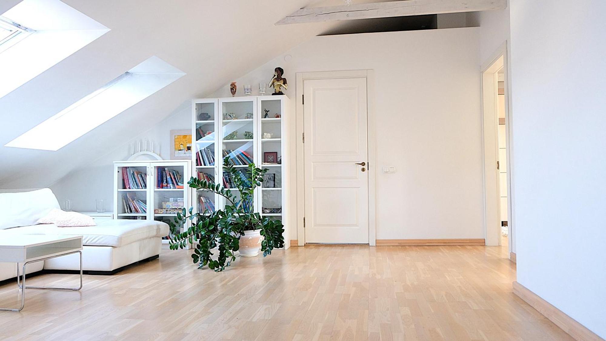 Old Town Luxury And Spacious * Vilnius